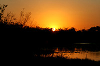 Sunset- Sunrise Photography ©Copyright